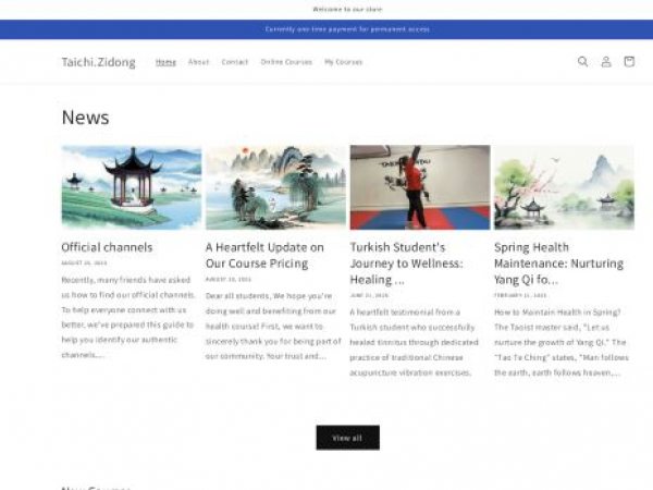 taichizidong.com